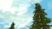 New Clouds
