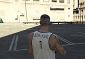Reza Pishro Add-On Ped