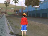 Monkey D. Luffy (New World)