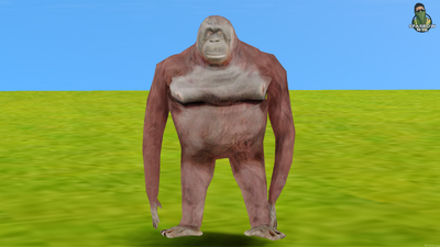 Orangutan