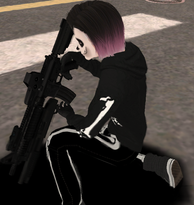 M4 HOLO STERKEY